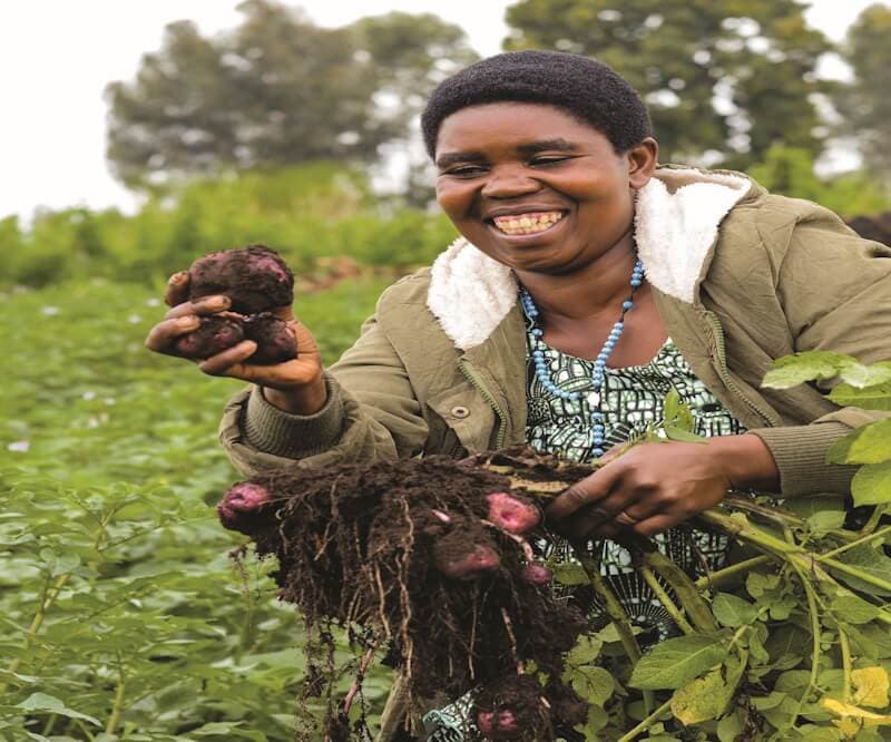 AGRICULTURE LOANS
